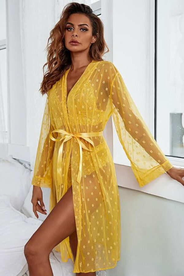 Black French Dot Mesh Robe & Lace Bra Set