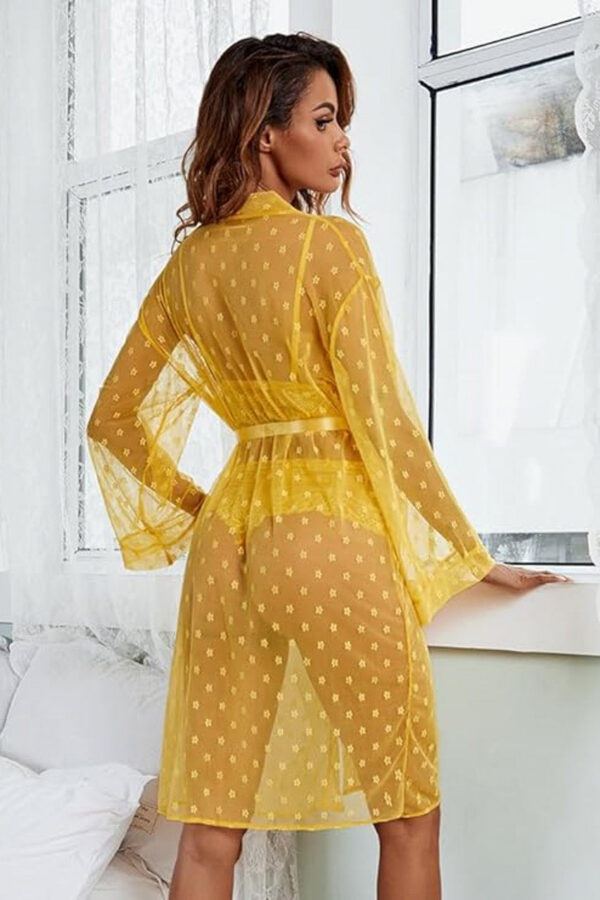 Black French Dot Mesh Robe & Lace Bra Set