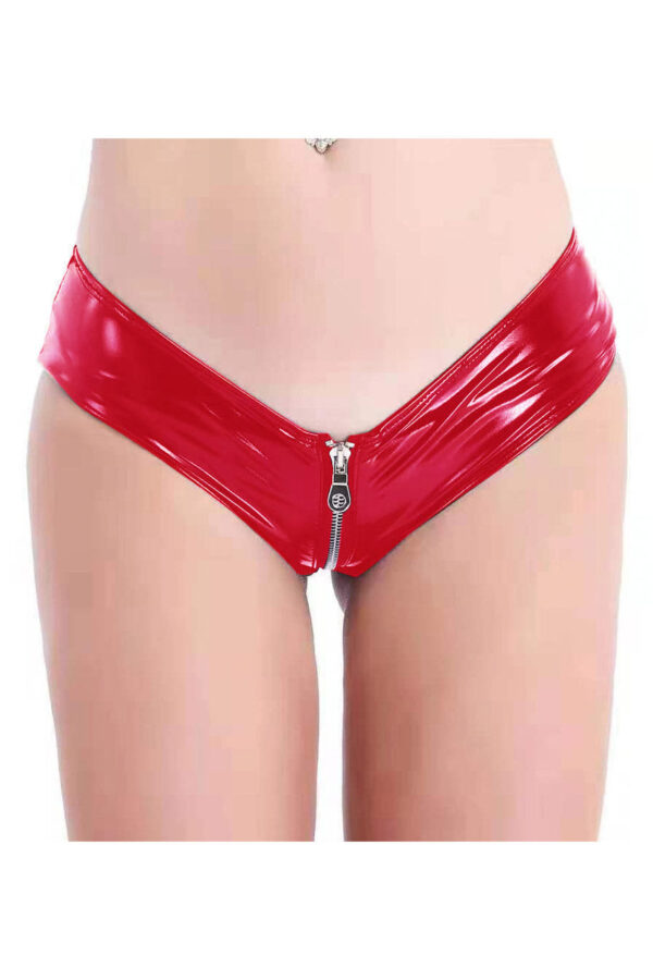 Vinyl Zipper Panty