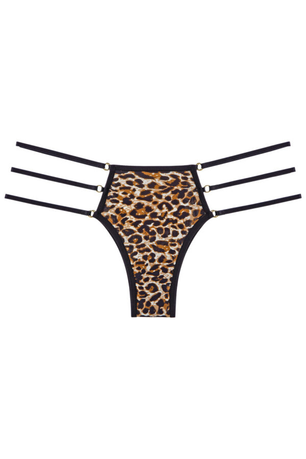 WFP3-9087_leopard_front.jpg