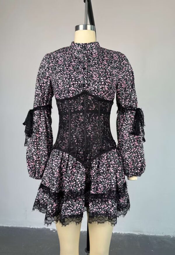 Floral Print Lace Trim Corset Mini Dress