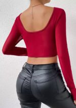Scarlet Corset Crop Top